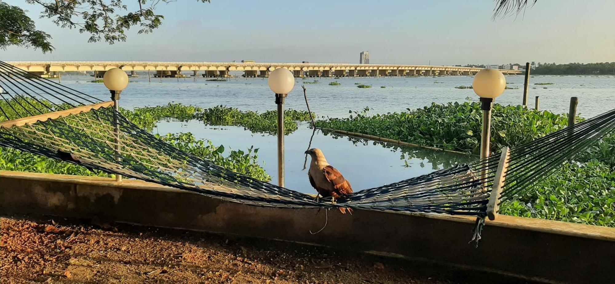 Cheenavala Fishing Homestay Kochi Extérieur photo